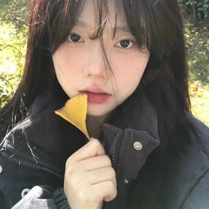 窗户上的阴影